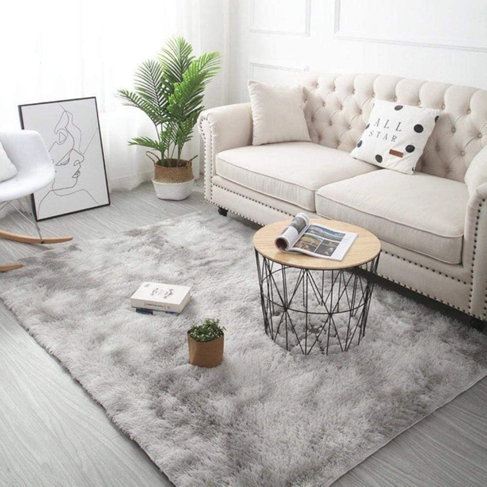 Fluffy Shaggy Floor Rug Ultra Soft Modern Luxurious Carpet 200x300 cm